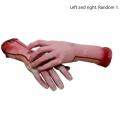 Bloody Horror Halloween Prop Fake Severed Life Size Arm Hand 22-23cm