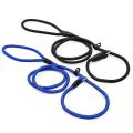 Nylon Dog Slip Training Walking Lead with P Chain 1cm Blue