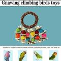 Parrot Chewing and Climbing Toys for Small Parrots Parakeets Conures