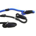 Nylon Dog Slip Training Walking Lead with P Chain 1cm Blue