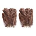 50pcs Hen Pheasant Wing Feathers for Wedding Millinery Craft Decor