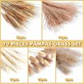 Natural Dried Pampas Grass Decor: 70 Pcs Fluffy White Pampas Stems