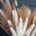 50 Pcs Dried Pampas Grass 18inch, for Flower Arrangements Home Decor