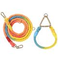 Gradient Color Dog Collars Accessories Leashes Rope Metal Chain-s