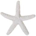 30 Pieces Creamy-white Pencil Finger Starfish for Wedding Dcor