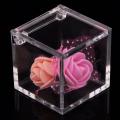 12pcs High Transparent Food Grade Square Clamshell Box Baby Gift Box