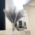 Pampas Grass Decor, Pompous Grass Plants for Wedding Kitchen