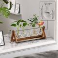 Plant Glass Planter with Wooden Stand,for Hydroponics Plants Decor