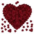 Wine Red Rose Petals for Romantic Night,fake Roses Petals,2000pcs