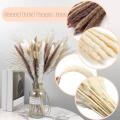 Dried Flowers Pampas Grass Decoration Bouquet for Table Home Decor