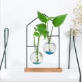 Desktop Plant Propagation Stations,glass Transparent Home Vase 2
