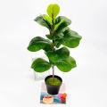 Artificial Plants Fiddle Leaf Fig Faux Ficus for Window Box Decor