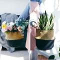 Seagrass Plant Basket with Han
