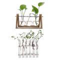 6 Glass Tubes Shape Hanging Hydroponic Flower Plant Vase