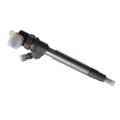 0445110317 for Bosch Common Rail Engine Injector Nozzle Assembly