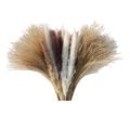 60pcs Dried Reed Small Pampas Flowers Artificial Banquet Decoration