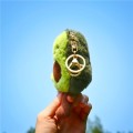 Cute Fruit Jewelry Plush Cartoon Anthropomorphic Avocado Key Ring