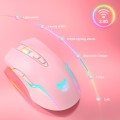 ONIKUMA CW905 2.4G RGB Lighting Wireless Mouse(Pink)