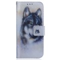 For Samsung Galaxy S23 Ultra 5G Coloured Drawing Flip Leather Phone Case(White Wolf)