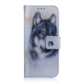 For Samsung Galaxy A04e / F04 / M04 Coloured Drawing Flip Leather Phone Case(White Wolf)