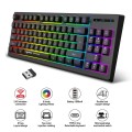 HXSJ L100 87 Keys RGB Backlit Film 2.4G Wireless Keyboard(Black)