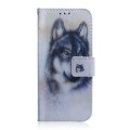 For Infinix Hot 40 / 40 Pro Coloured Drawing Flip Leather Phone Case(White Wolf)
