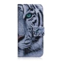 For Tecno Pova 5 Pro Coloured Drawing Flip Leather Phone Case(Tiger)