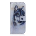 For Tecno Spark 20 Pro+ 4G Coloured Drawing Flip Leather Phone Case(White Wolf)