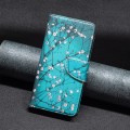 For Xiaomi Redmi K70 / K70 Pro Colored Drawing Pattern Leather Phone Case(Plum Blossom)