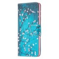 For Xiaomi Redmi Note 13 Pro 4G Global Colored Drawing Pattern Leather Phone Case(Plum Blossom)