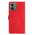 For Motorola Moto G84 5G Flower Embossing Pattern Leather Phone Case(Red)