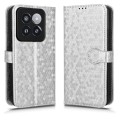 For Xiaomi 14 Pro Honeycomb Dot Texture Leather Phone Case(Silver)