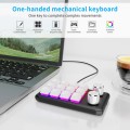 USB Wired 12KV2 MOLD Mini Mechanical 12 Keys 2 Knob Custom Programming Keyboard(White)