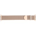 For Apple Watch SE 2022 40mm Milanese Metal Magnetic Watch Band(Retro Gold)