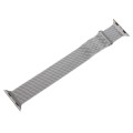 For Apple Watch SE 2023 44mm Milanese Metal Magnetic Watch Band(Silver)