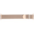 For Apple Watch Ultra 2 49mm Milanese Metal Magnetic Watch Band(Retro Gold)