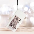 For Motorola Moto G84 5G Colored Drawing Leather Phone Case(Little Tabby Cat)
