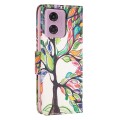 For Motorola Moto G34 5G Colored Drawing Pattern Leather Phone Case(Tree Life)