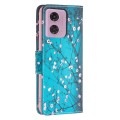 For Motorola Moto G34 5G Colored Drawing Pattern Leather Phone Case(Plum Blossom)