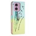 For Motorola Moto G24 Colored Drawing Pattern Leather Phone Case(Feather)