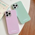For iPhone 15 Pro Max Painted Pattern PC Phone Case(Green)