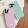 For iPhone 15 Pro Max Painted Pattern PC Phone Case(Pink)