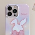 For iPhone 15 Pro Max Painted Pattern PC Phone Case(Pink Bowknot Bunny)
