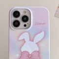 For iPhone 15 Pro Painted Pattern PC Phone Case(Pink Bowknot Bunny)