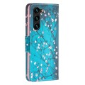 For Samsung Galaxy S24+ 5G Colored Drawing Pattern Leather Phone Case(Plum Blossom)