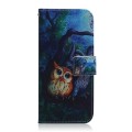 For Xiaomi Redmi Note 13 Pro+ 5G Coloured Drawing Flip Leather Phone Case(Oil Painting Owl)