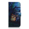 For Xiaomi Redmi A3 Coloured Drawing Flip Leather Phone Case(Oil Painting Owl)