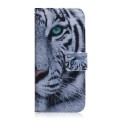 For Xiaomi Redmi Note 13 4G Global Coloured Drawing Flip Leather Phone Case(Tiger)