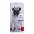 For Samsung Galaxy S24+ 5G Coloured Drawing Flip Leather Phone Case(Pug)