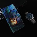 For Realme 12 Pro+ Global Coloured Drawing Flip Leather Phone Case(Oil Painting Owl)